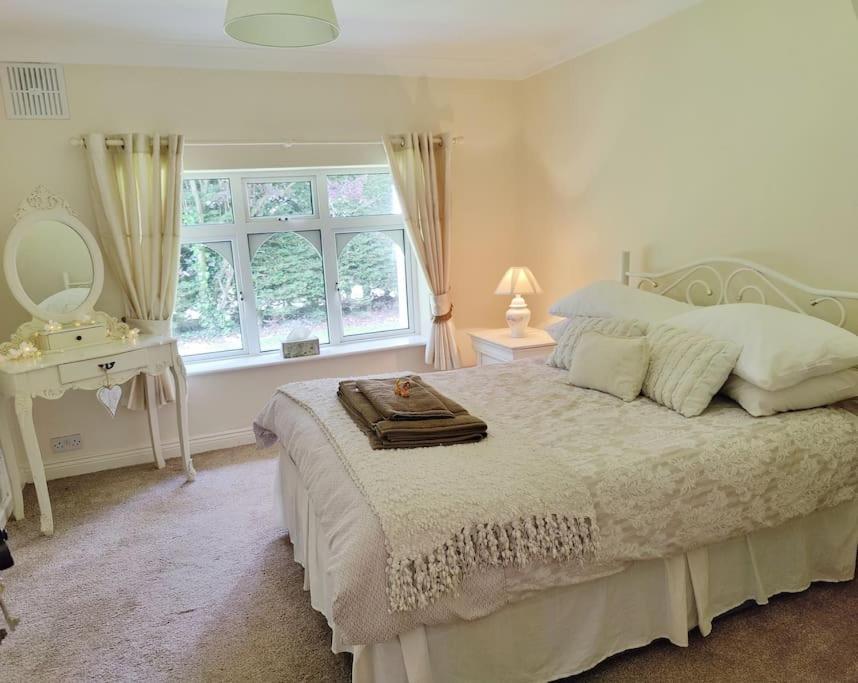 Entire Home At Ballysax House Newpark Extérieur photo